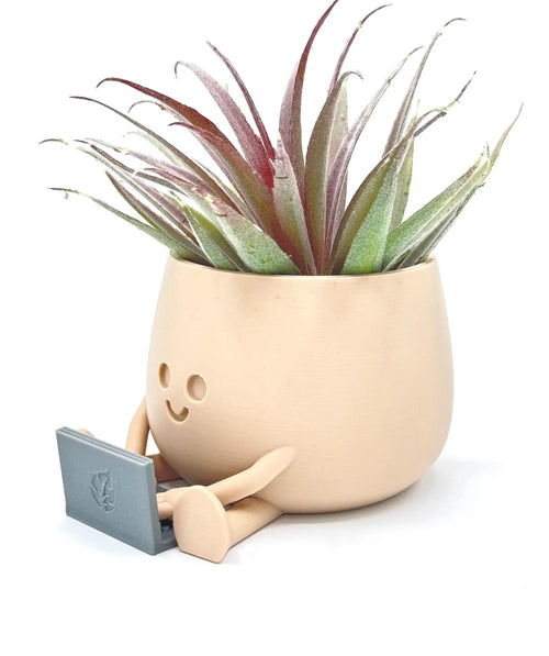 Happy Face Planter
